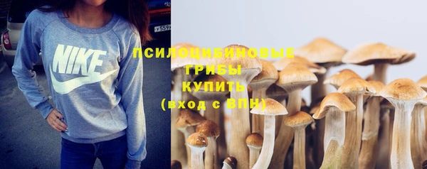 ECSTASY Сосновка