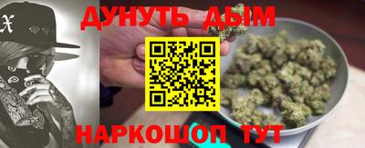 молекула духа Будённовск