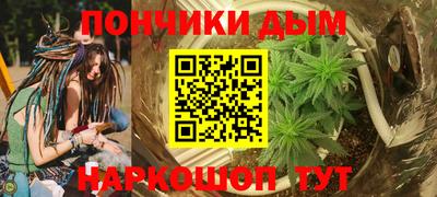 молекула духа Будённовск