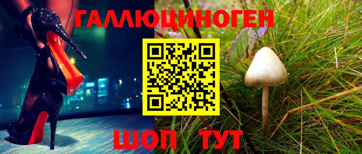 Ялуторовск  Псилоцибиновые грибы Psilocybe  Вход с VPN  Галлюциногенные грибы прущие грибы 
